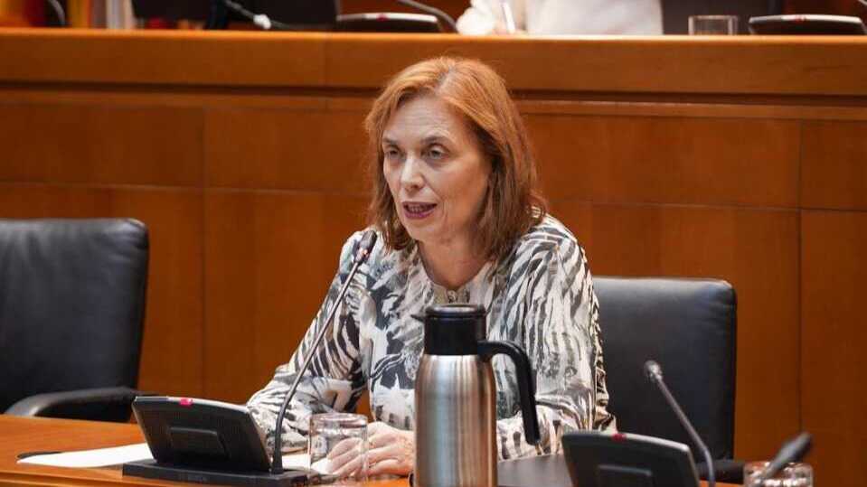 Las Cortes inician las audiencias legislativas sobre la creación del Instituto de Salud Pública