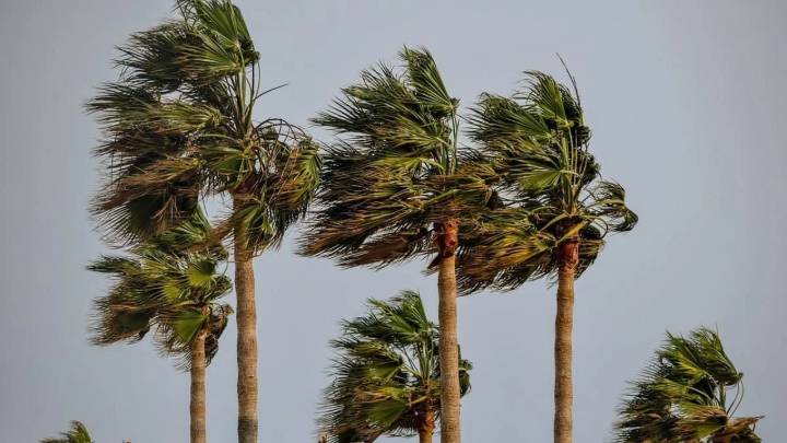 Rige una alerta roja en algunos sectores del país por fuertes vientos