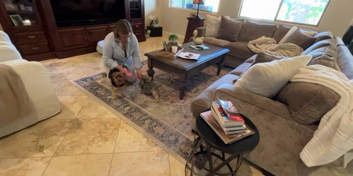 Policy-holders sue over discontinued pet insurance policy