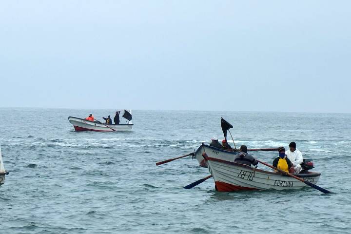 Celebran los pescadores artesanales: Gobierno confirma cuándo implementarán primeras medidas bajo Ley de Fraccionamiento