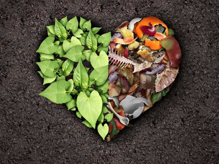 Para qué sirve la milenaria técnica del Bokashi y por qué recomiendan usarla para las plantas en el hogar