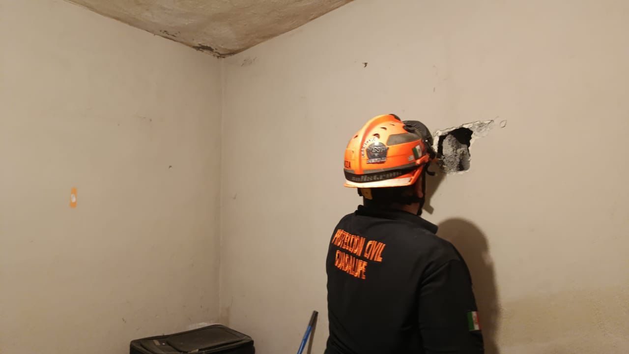 Rescatan a chihuahua atrapada en casa de Guadalupe