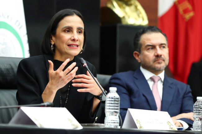 Luz Elena González Escobar comparece ante la Comisión de Energía.