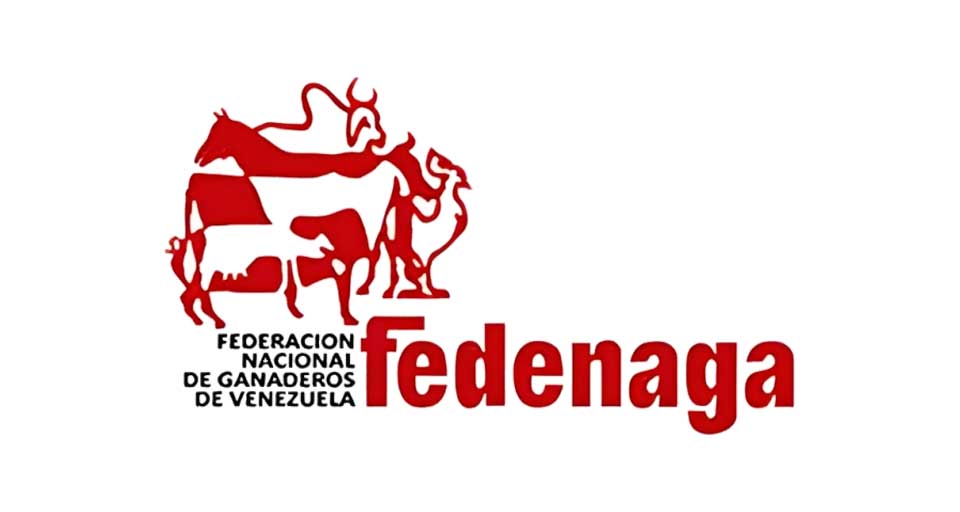 Fedenaga destaca recuperación del sector ganadero en Venezuela