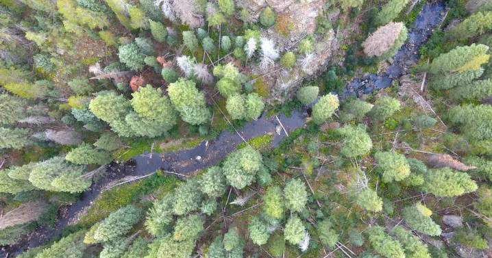 Dam estimate almost doubles to $150M as pols challenge runaway water projects