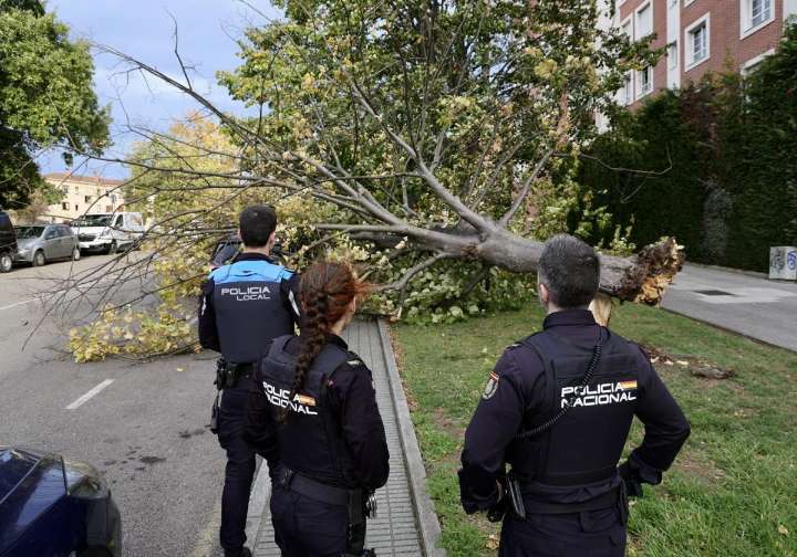 Asturias, en alerta por incendios forestales por fuertes vientos