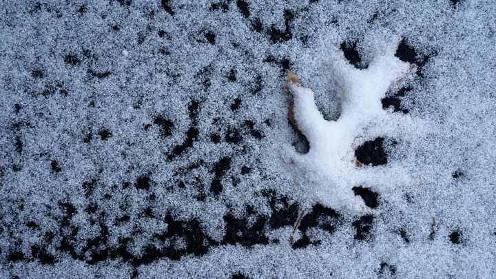 How to winterize, prepare a home for winter