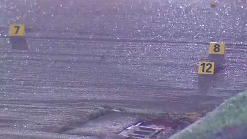 Fight between neighbors ends in gunfire; 2 shot and another hurt along Dodiewood Lane, Harris County Sheriff's Office says