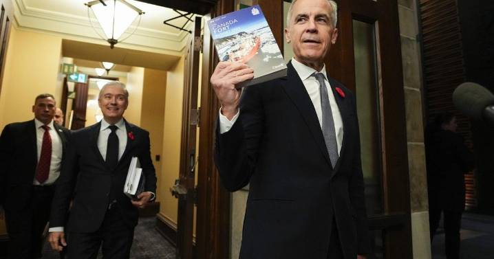 Liberal MPs have 'fingers crossed' as budget awaits crucial House vote
