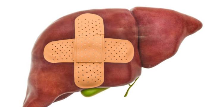 Los tres tés infalibles que ayudan a revertir el hígado graso en tan solo tres semanas