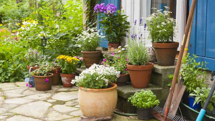 How To Winterize Patio Plants So They Last All Year