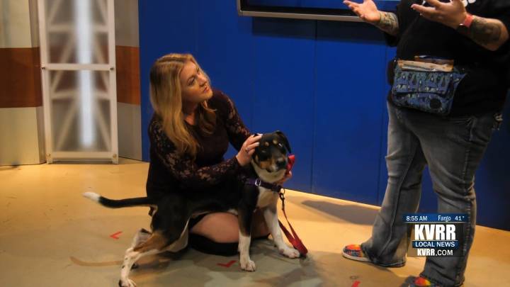 Pet Connection: Meet Rick Astley