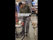 Marine veteran's service dog saves him from a serious stroke