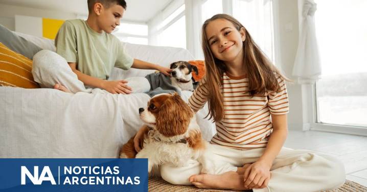 Cuáles son los 3 dispositivos tecnológicos del futuro para tus mascotas