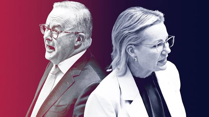 Voters don’t punish Liberals for infighting, but Albanese on notice over rising costs: poll