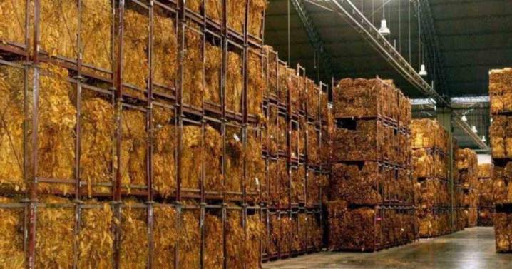 Preocupación por el cierre de la planta de Alliance One en Perico