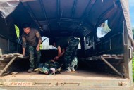 Trump ‘Nobel’ Peace Deal Halted