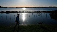 Argentina, en la vanguardia de la preocupación climática: encuesta revela temores profundos por sequías y daños personales