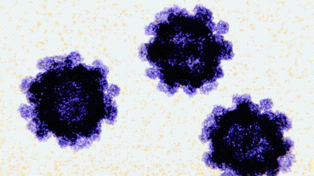 US cases of norovirus on the rise with double the rate of positive tests since August