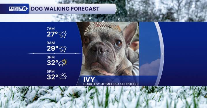 Black Friday Dog Walking Forecast: Snow-filled and frigid for many