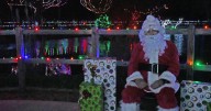 Holiday Spirit Shines at Holidaze at the Zoo Despite Chilly Weather
