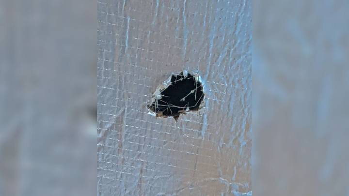 Florida Team Investigates Odd Whimpers In The Walls And Stumbles Upon A Heartwarming Surprise