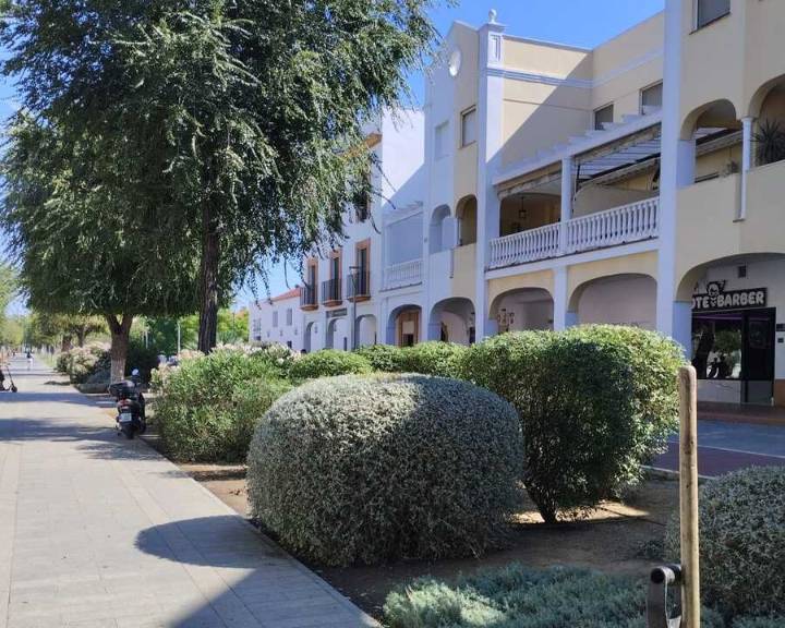 Parques y Jardines continúa trabajando en las zonas verdes de todas las barriadas