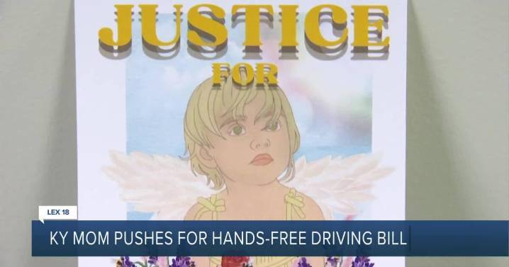 Kentucky lawmakers consider hands-free driving bill after mother loses 2