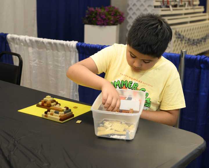 What to do in Salem from Nov. 13-19: LEGO party, holiday market, gallery auction