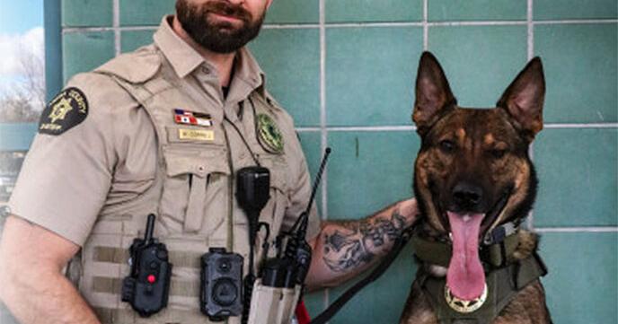 Mesa County Detention Center adds drug