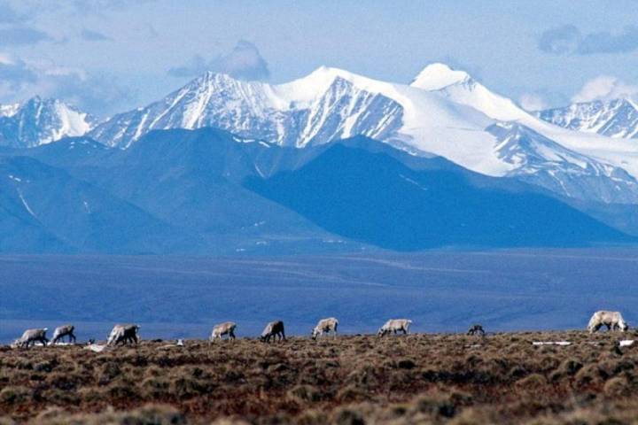 Trump rolls back Biden-era rule, opens Alaska for drilling