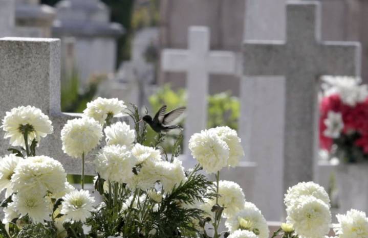 Balacera entre grupos delictivos deja 2 muertos en panteón de Coyoacán