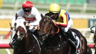 Heys eyes fast start and finish with Ohtani and Mailata at Gosford