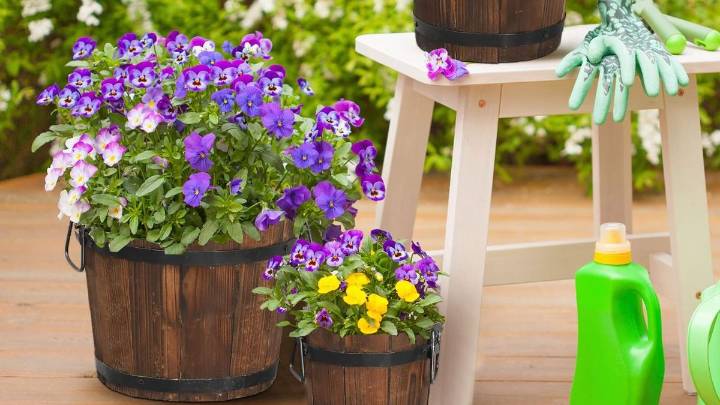 Con esta alternativa creativa puedes hacer macetas para las plantas de tu jardín