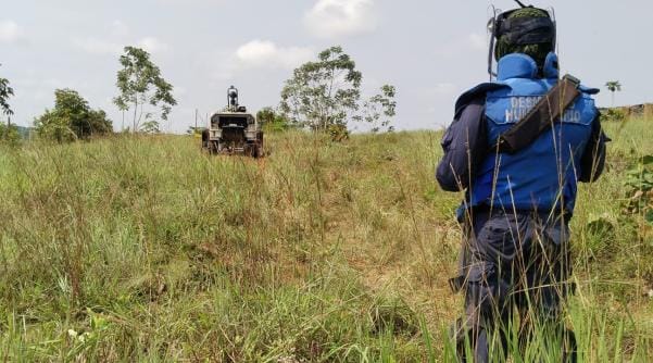 Agustín Codazzi es otro de los municipios colombianos libres de minas
