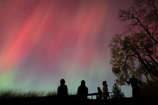 In vivid red and green, stunning aurora display sweeps across Minnesota skies