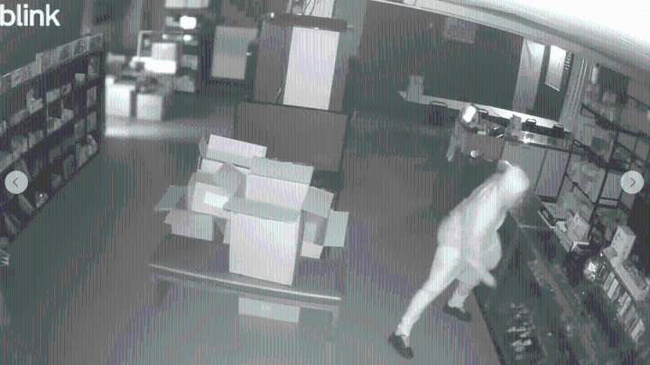 Thieves steal thousands in Pokémon and trading cards from Seymour store