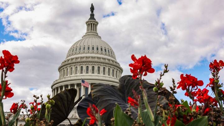 Trump calls US govt shutdown ‘survival of country’. Who’s feeling the pressure?