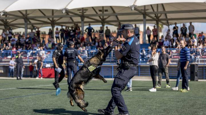 Unidades de emergencia caninas entrenan en La Nucia en una estructura colapsada tras una catástrofe