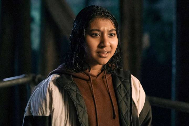 What Happened to Reena Virk? Inside the Gruesome 'Under the Bridge' Murder