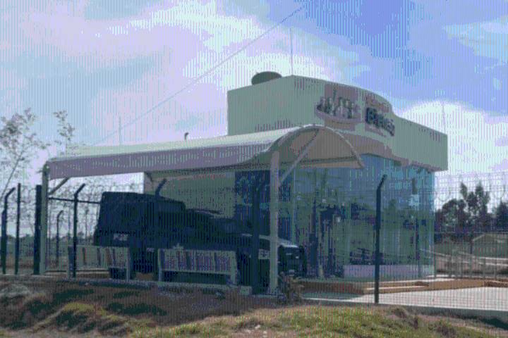 Roban Banco del Bienestar en Zapotlán