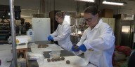 New potato testing facility streamlines disease screening for Michigan farmers