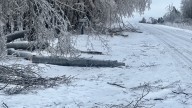 DNR makes progress in months-long ice storm cleanup