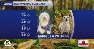 WET DOG ALERT: Find out when to try and get your walkies in today