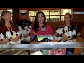 Tons of Snoopy dolls dropped off to News 4 Tucson's Season 4 Hope live drive