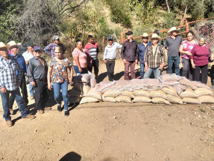 Reciben apoyo alimentario a 200 familias de Ocampo