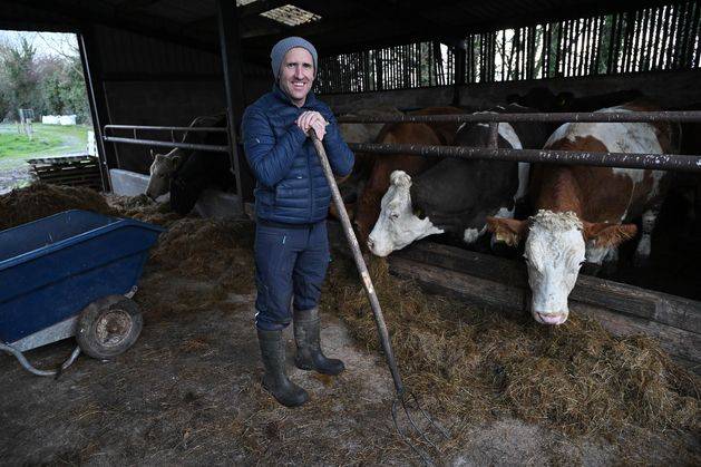 €8,200 on a farm tech upgrade: Is this the future of suckler breeding?