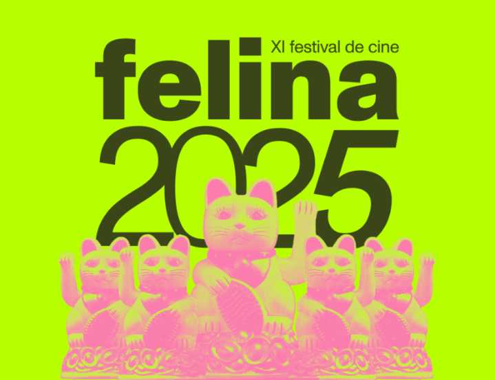 Día del Cine Chileno | Festival Felina 2025 gratis en El Maule: Programación por comuna