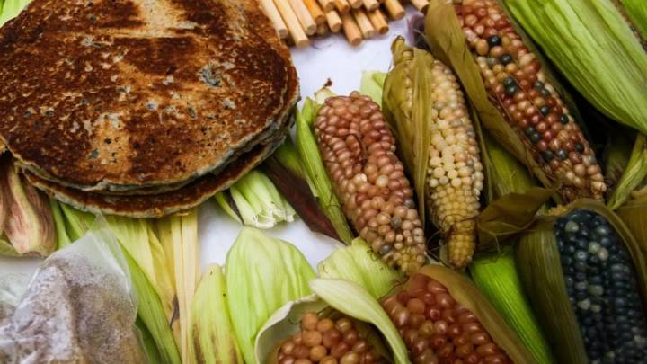 Buscan incrementar producción de maíz nativo con el programa “El Maíz es Raíz”