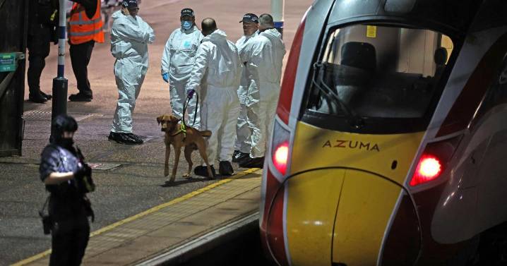 Huntingdon train stabbing: Major police investigation update